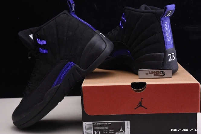 Rep LUCY Retro 12 CT8013 'Dark Jordan 005 Air Concord' 0722